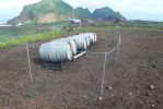 PICTURES/Sites Around Heimaey Island - Little of this and That/t_Gin (1).JPG
